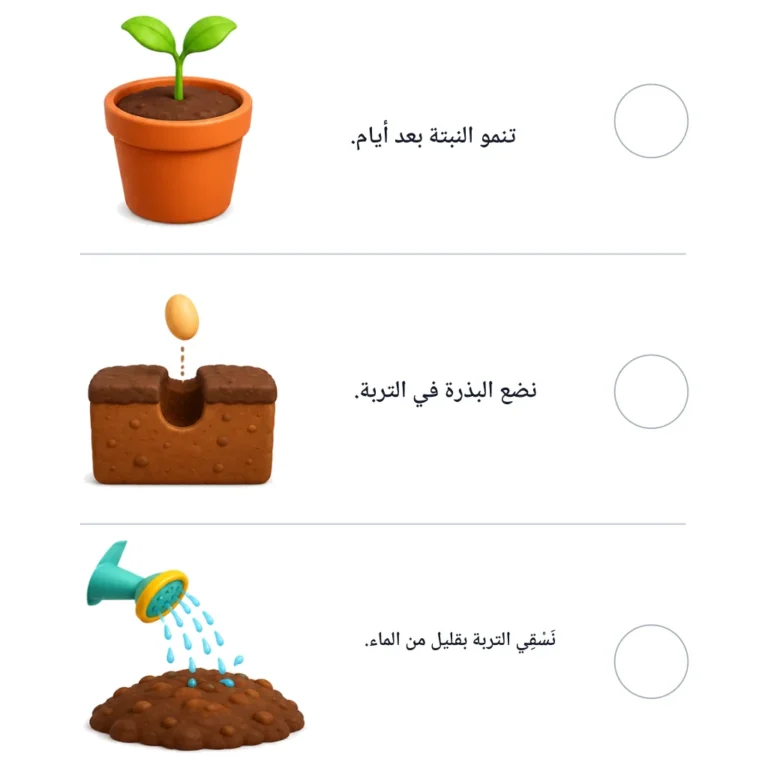 من بذرة إلى نبتة: ترتيب الأحداث
