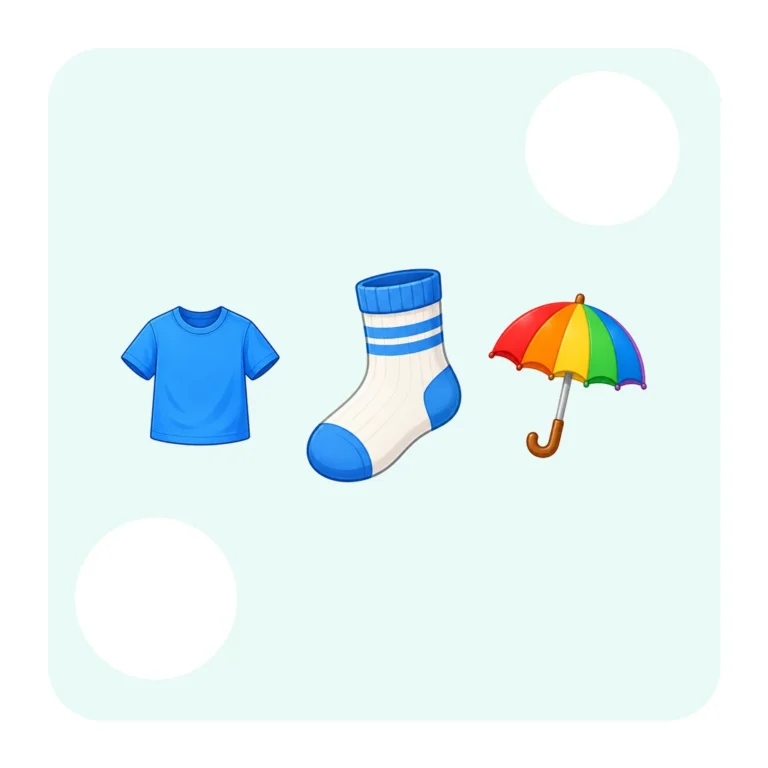 Find the Same Picture – Clothes and Everyday Objects